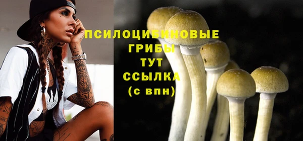 прущие крисы Лагань