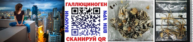 площадка телеграм  Каспийск  Галлюциногенные грибы Cubensis  продажа наркотиков 